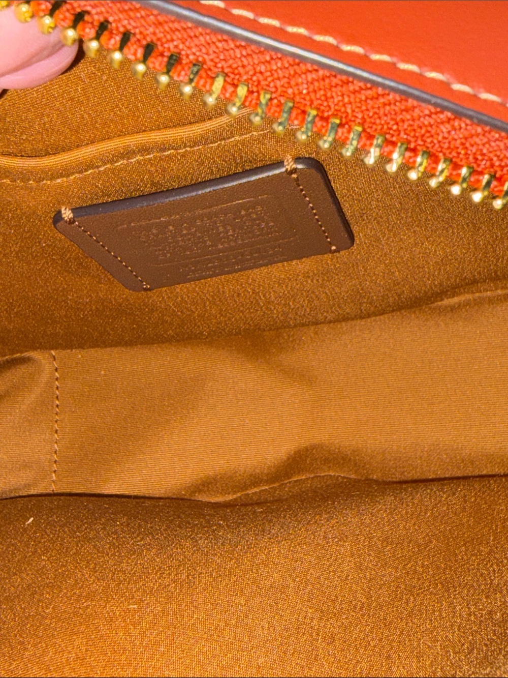 Coach X Tom Wesselmann Lips Crossbody Bag NWOT - Picture 3 of 12